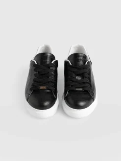 Hampstead Sneaker - Croc